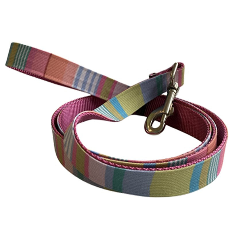 Colorful Summer Dog Collar and Lead Set