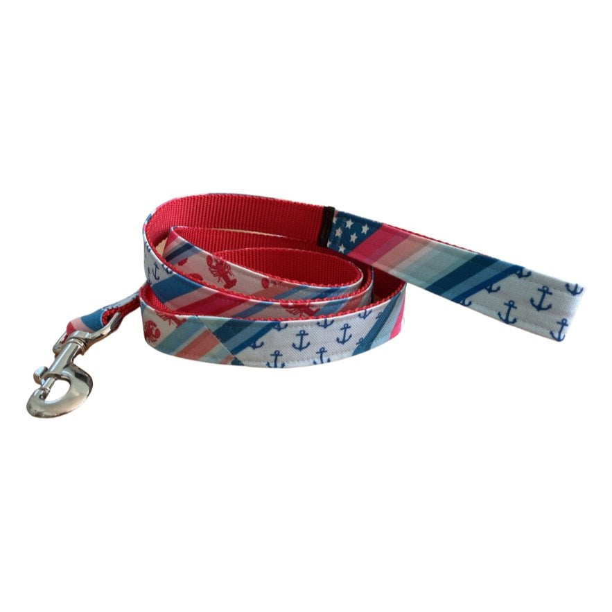 Colorful Summer Dog Collar and Lead Set