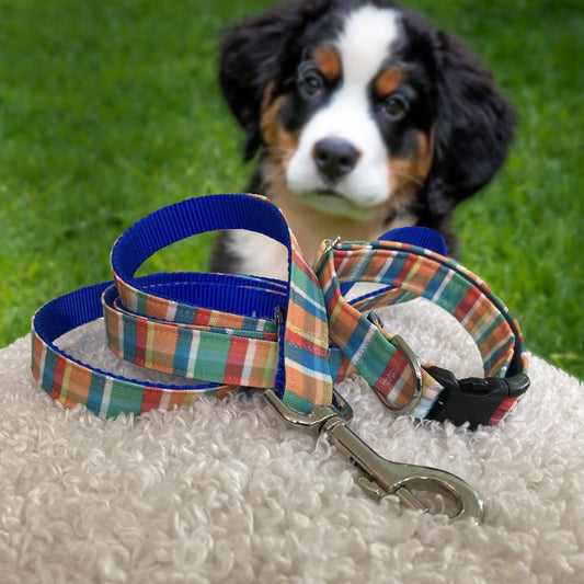 Colorful Summer Dog Collar and Lead Set