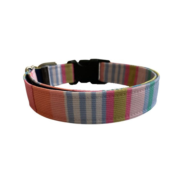 Colorful Summer Dog Collar and Lead Set