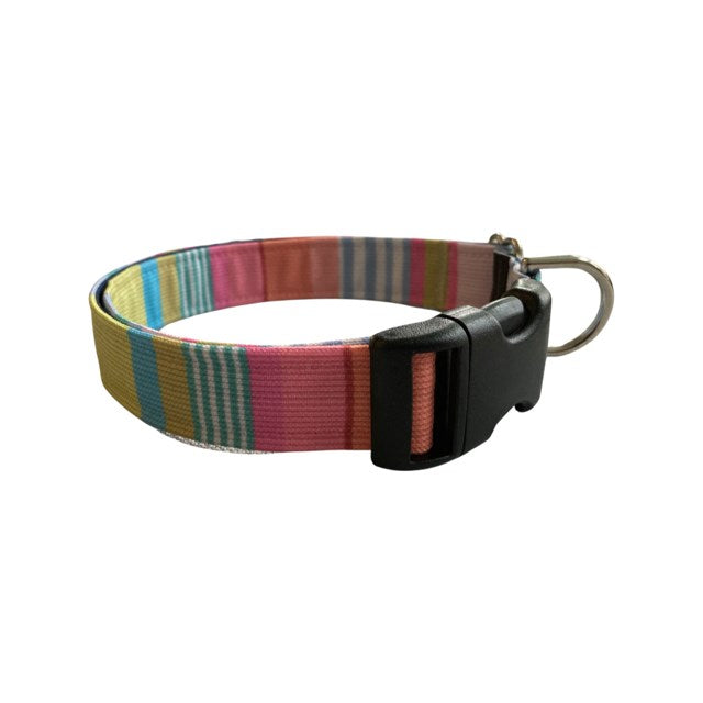 Colorful Summer Dog Collar and Lead Set