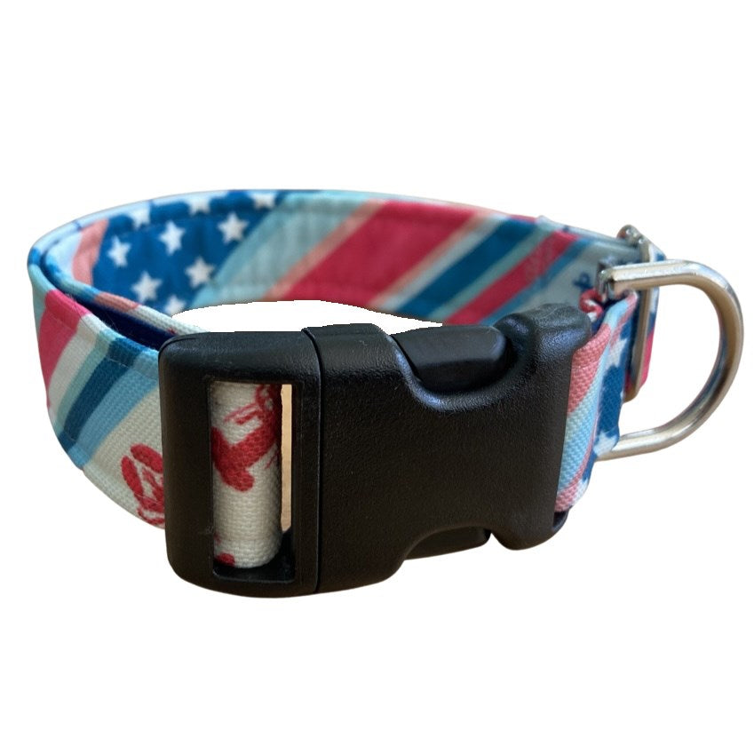 Colorful Summer Dog Collar and Lead Set